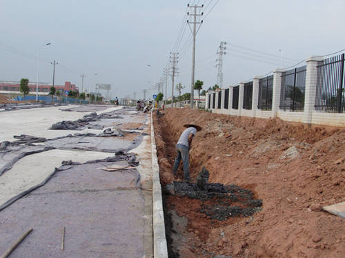 �V�ݣ�÷�ݣ��a(ch��n)�I(y��)�D(zhu��n)�ƹ��I(y��)�@���ڿv��·B��